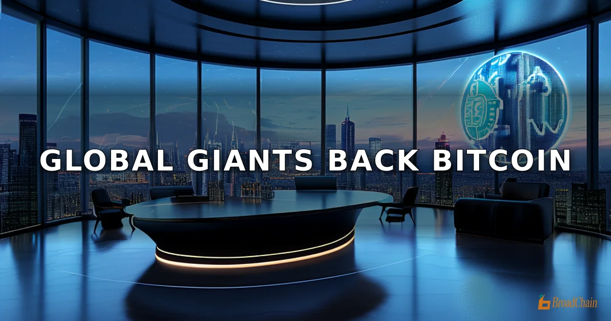 多家全球大型资管机构持有Strategy股票MSTR：Vanguard持股约8.12%，Capital Group持股7.7%