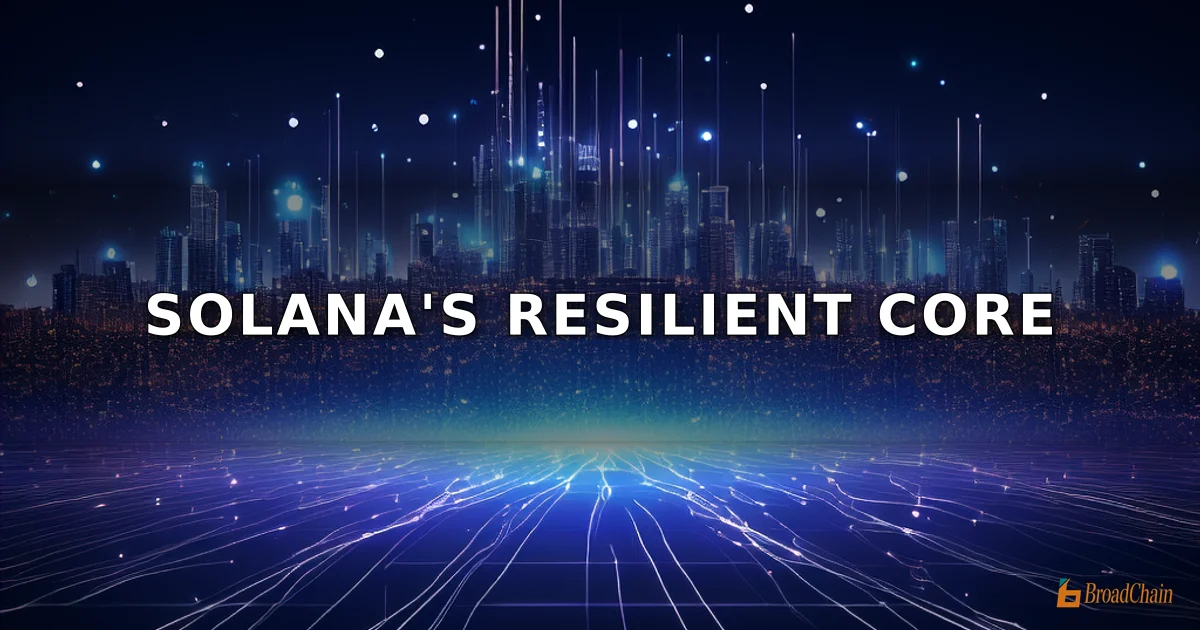 Solana DEX交易量降至555亿美元，为2024年9月以来最低水平，生态盈利能力仍具韧性