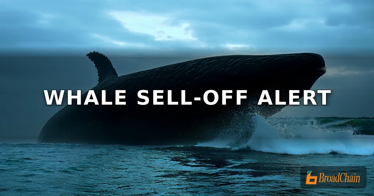 比特币反弹或为陷阱，巨鲸趁势抛售