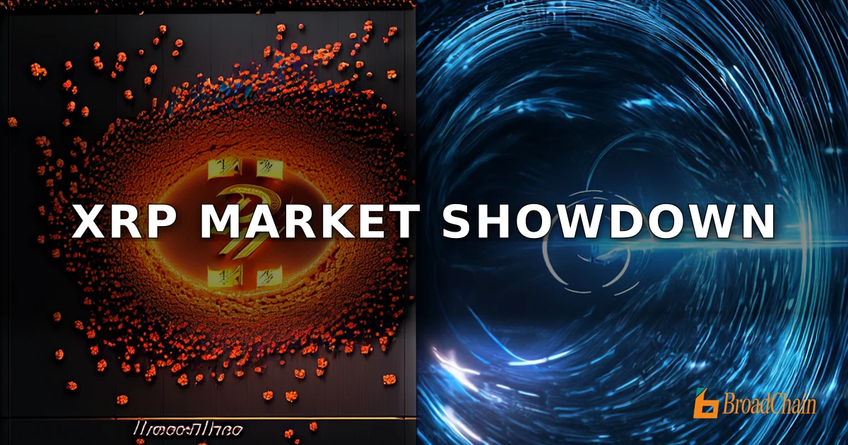 Ripple转移1亿美元XRP，交易所储备攀升，但ETF单周净流入超2亿美元形成供应对冲