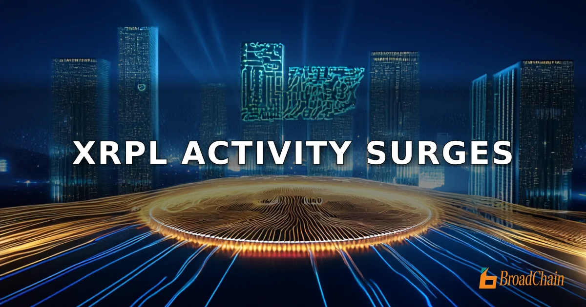 XRP Ledger交易量激增，日处理量逼近300万笔