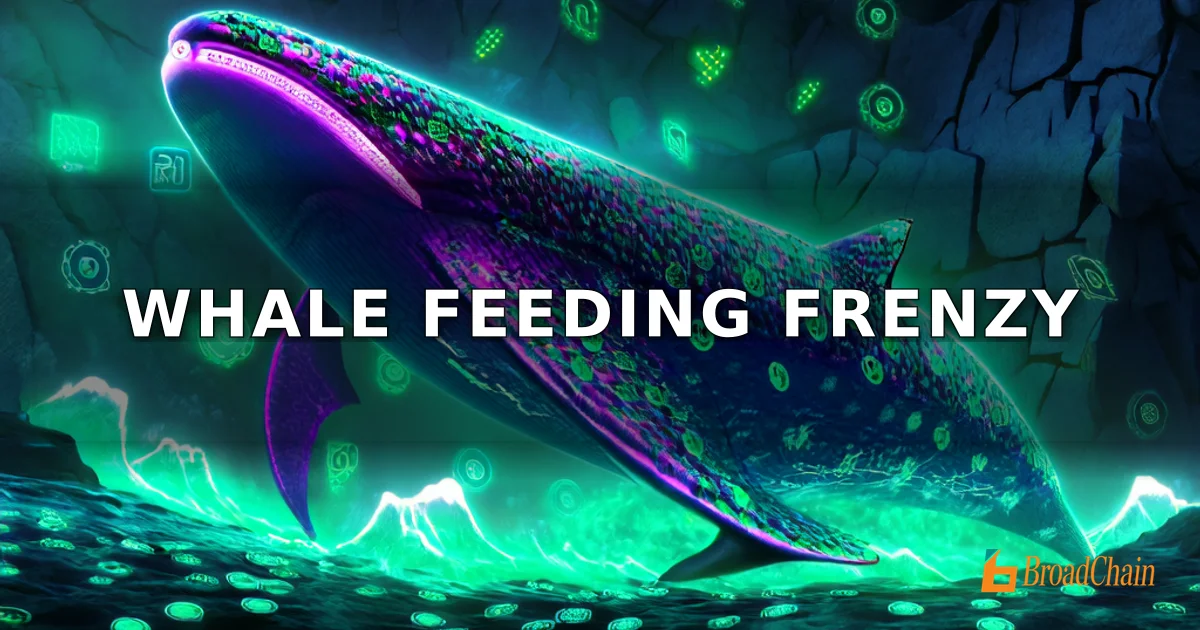 วาฬสะสม 8000 พันล้าน PEPE ในหนึ่งสัปดาห์ กำลังจะทะลุ 0.0000041 ดอลลาร์หรือไม่?