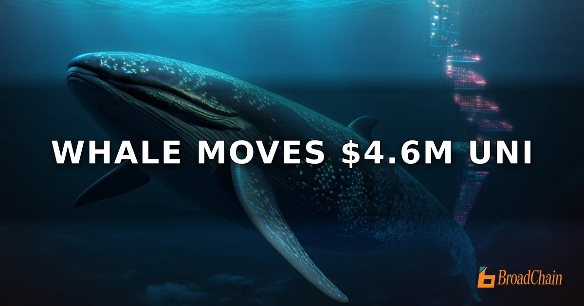 ที่อยู่ปลาวาฬฝาก UNI จำนวน 1.397 ล้านเหรียญ มูลค่าประมาณ 4.6 ล้านดอลลาร์สหรัฐ ไปยังสามกระดานเทรด