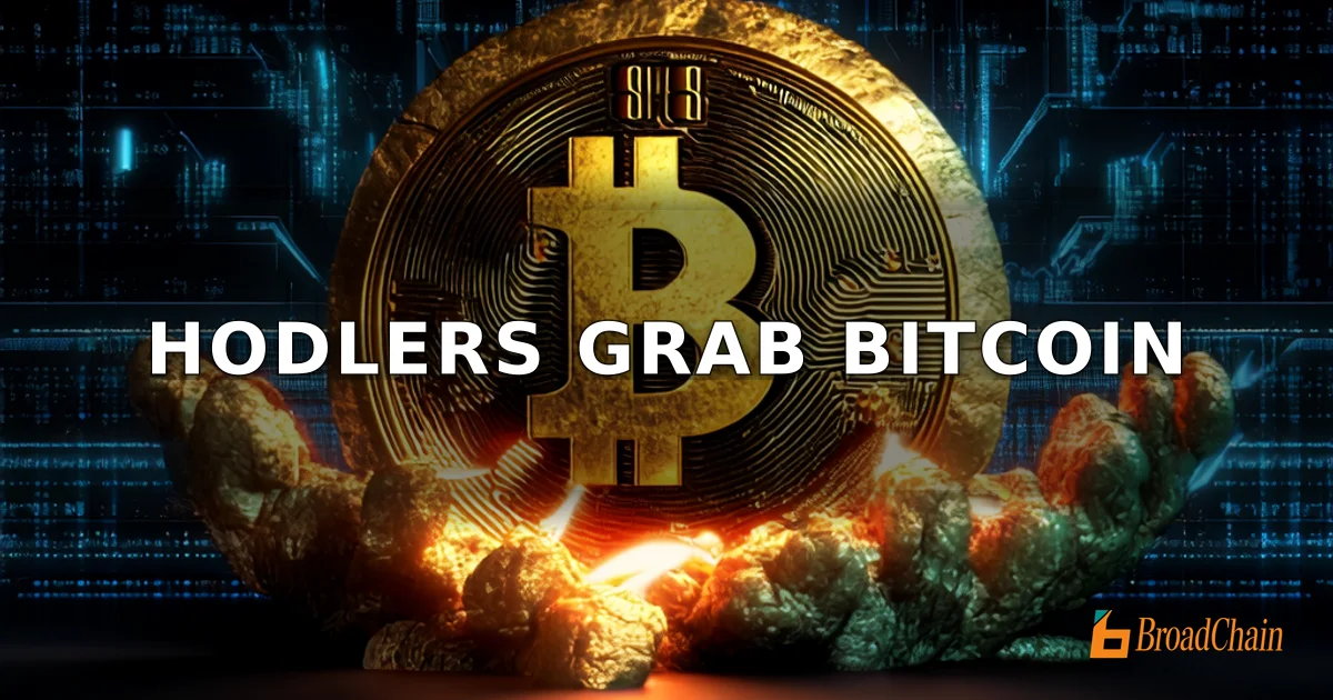 อุปทานของผู้ถือ BTC ระยะยาวเพิ่มขึ้น 303,000 เหรียญต่อเดือน สะท้อนการกระจุกตัวของเหรียญสู่มือแข็ง