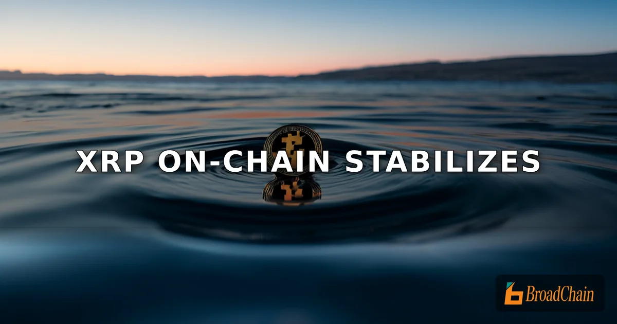 ข้อมูลบนเครือข่าย XRP ส่งสัญญาณเสถียรภาพ ราคายังต่ำกว่าต้นทุนการถือครอง