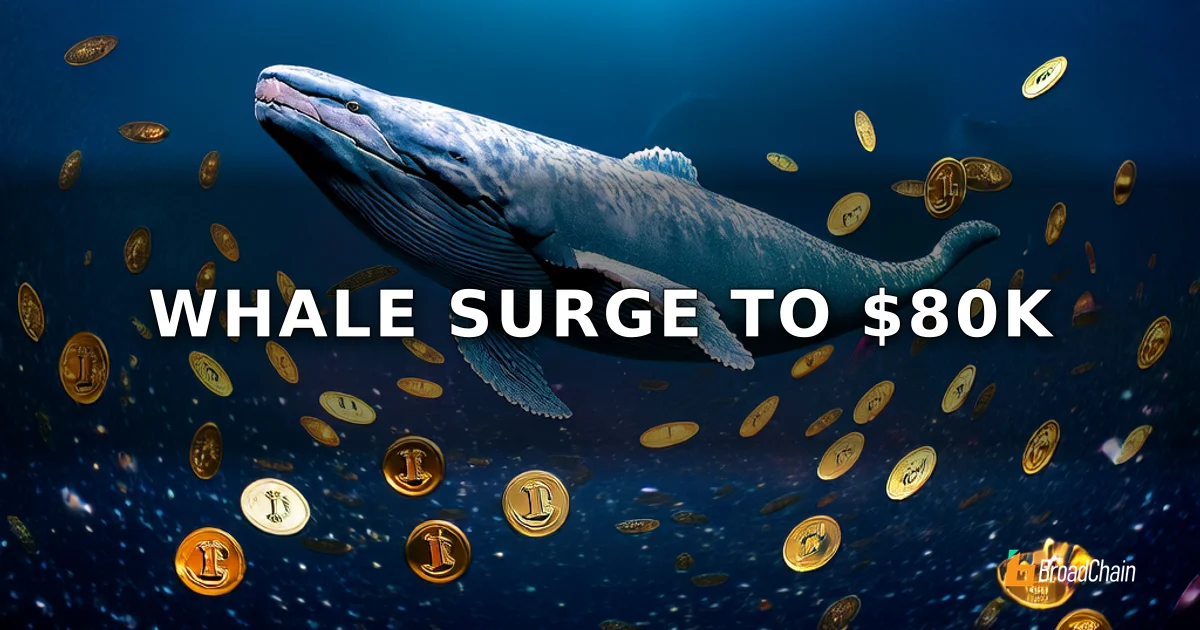 Ballenas aceleran acumulación, Bitcoin se acerca al umbral de los 80,000 dólares