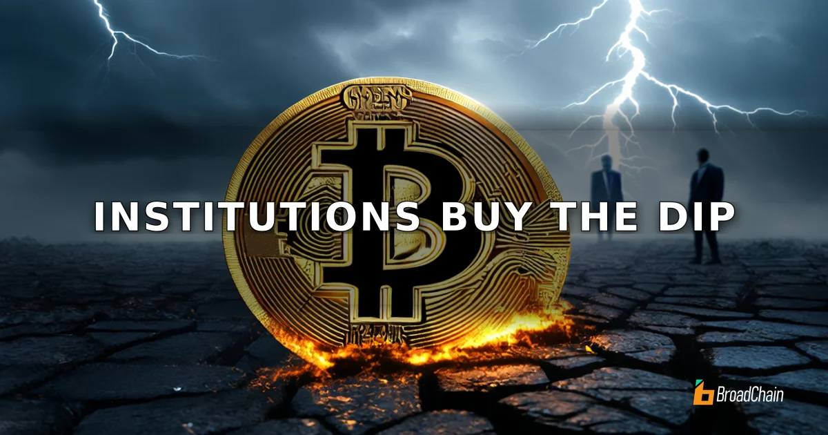 Inmitten der Korrektur des Kryptomarktes fließen institutionelle Gelder gegen den Trend zum Einkauf von Tiefstständen