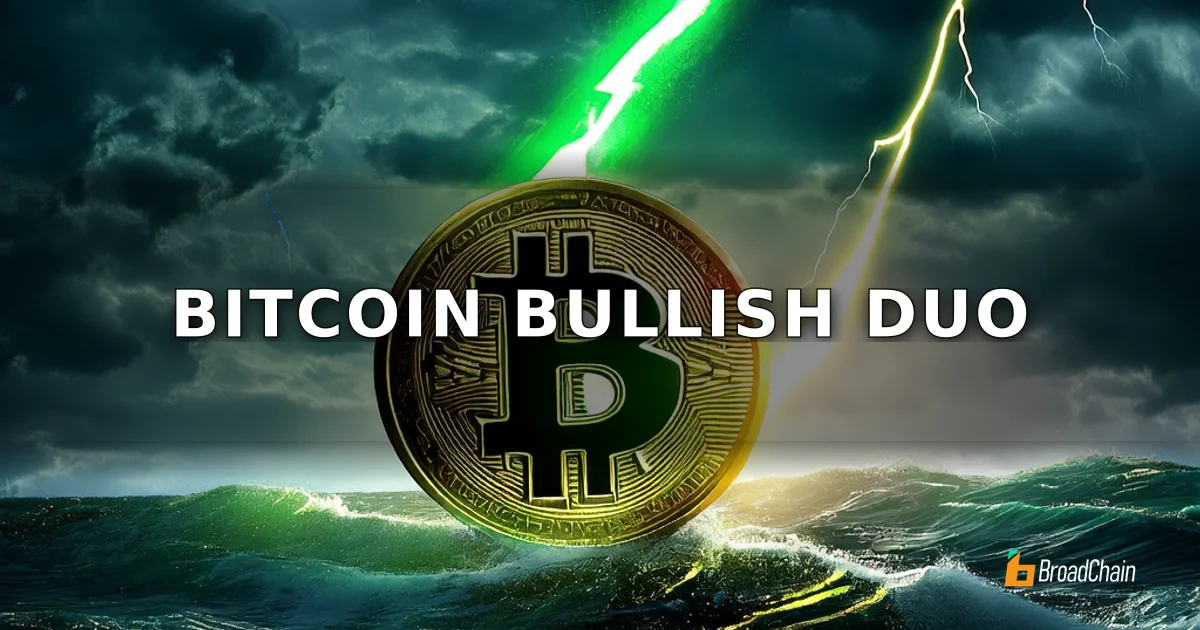 比特币现两大历史看涨信号，VanEck分析师指负资金费率与算力下降