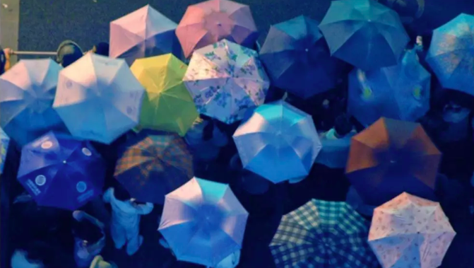 币圈维权众生相：维权之路长漫漫