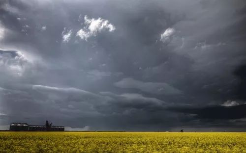 跑路、清退or出海？这道留给数字货币交易所的题太难