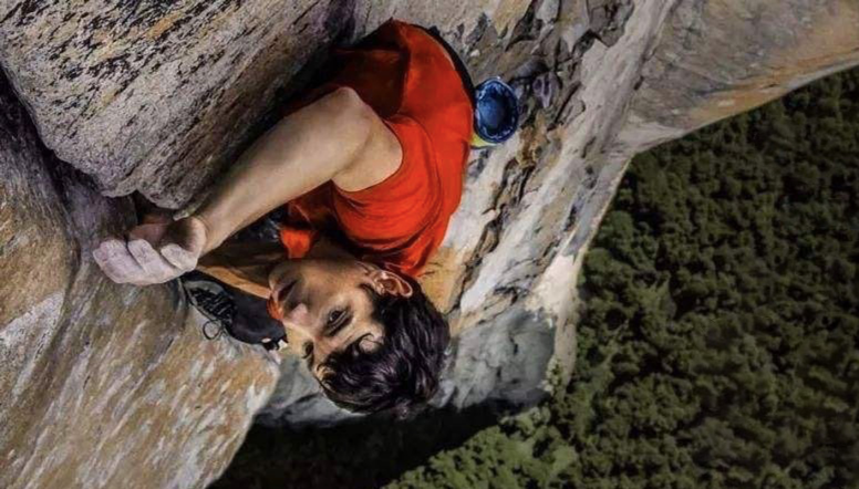 比特小鹿：熵变下的破壁者