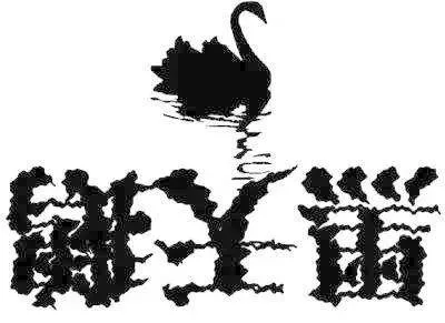 如何把握“黑天鹅”带来的机会？