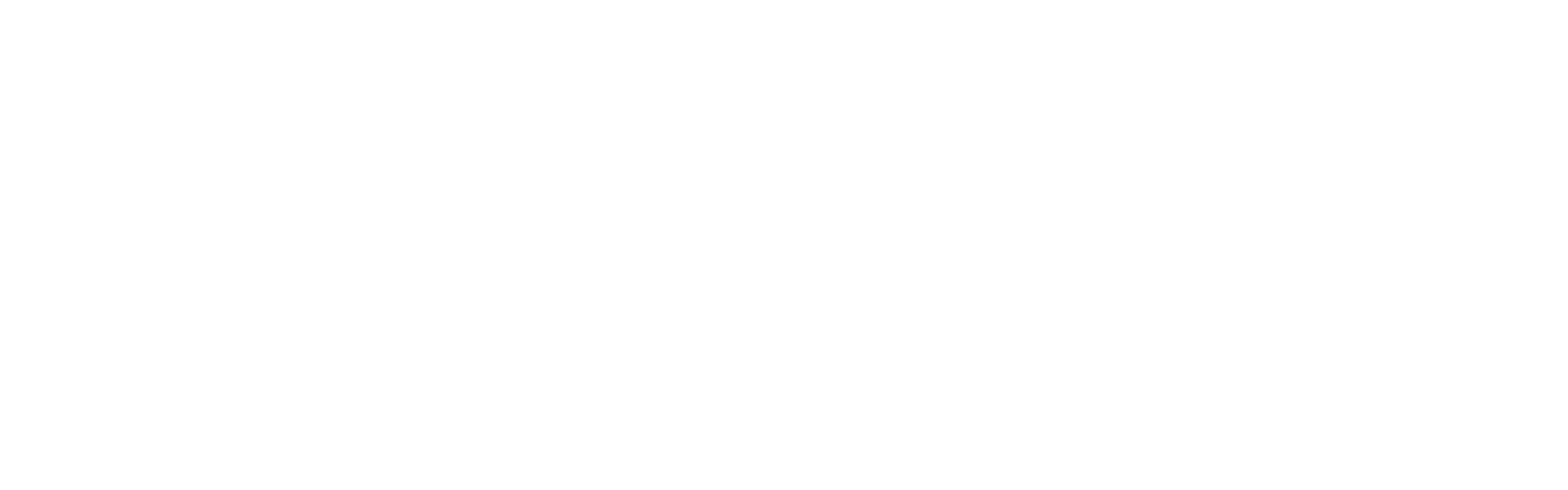 أبيض + نص أبيض